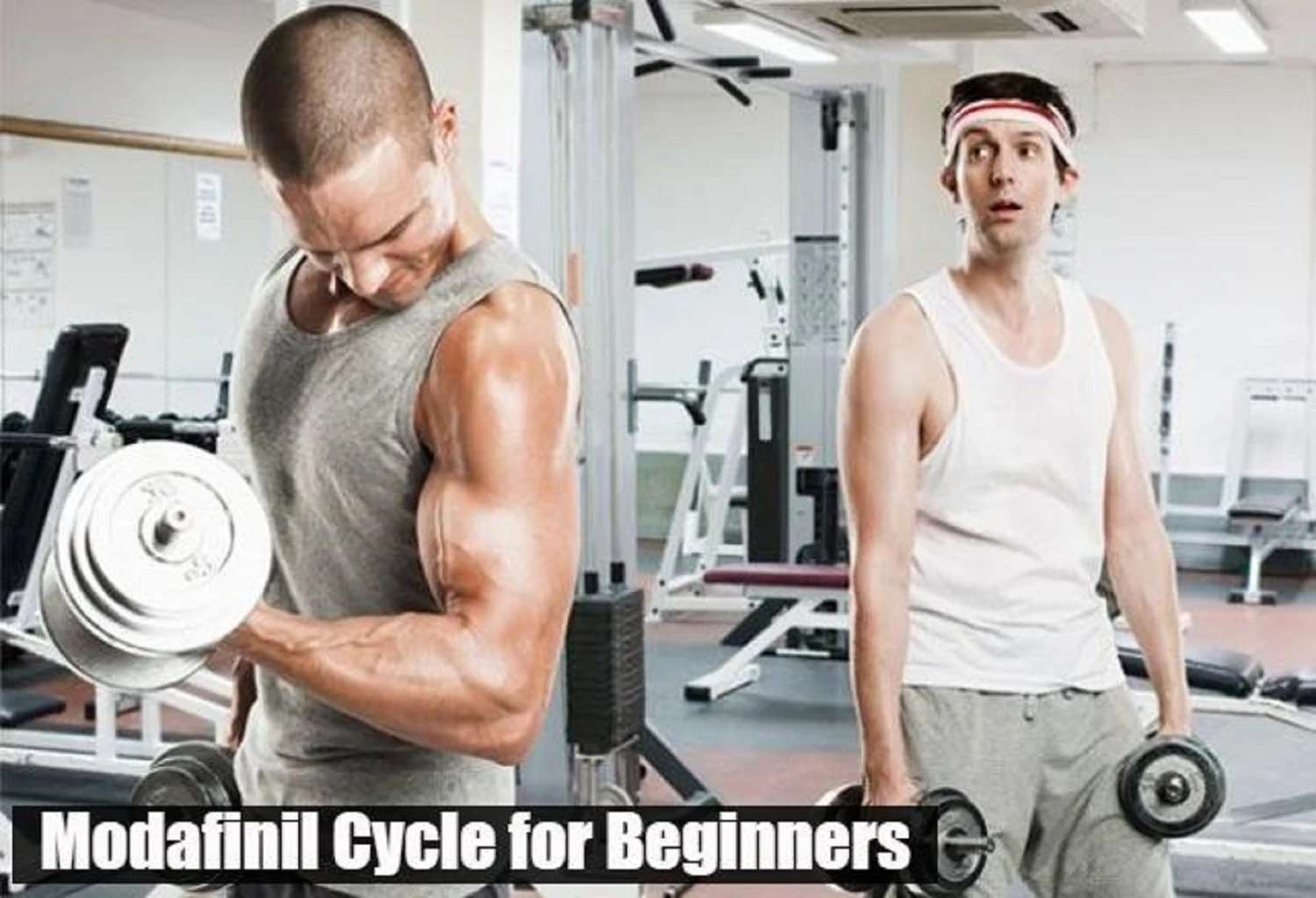 Modafinil Cycle for Beginners