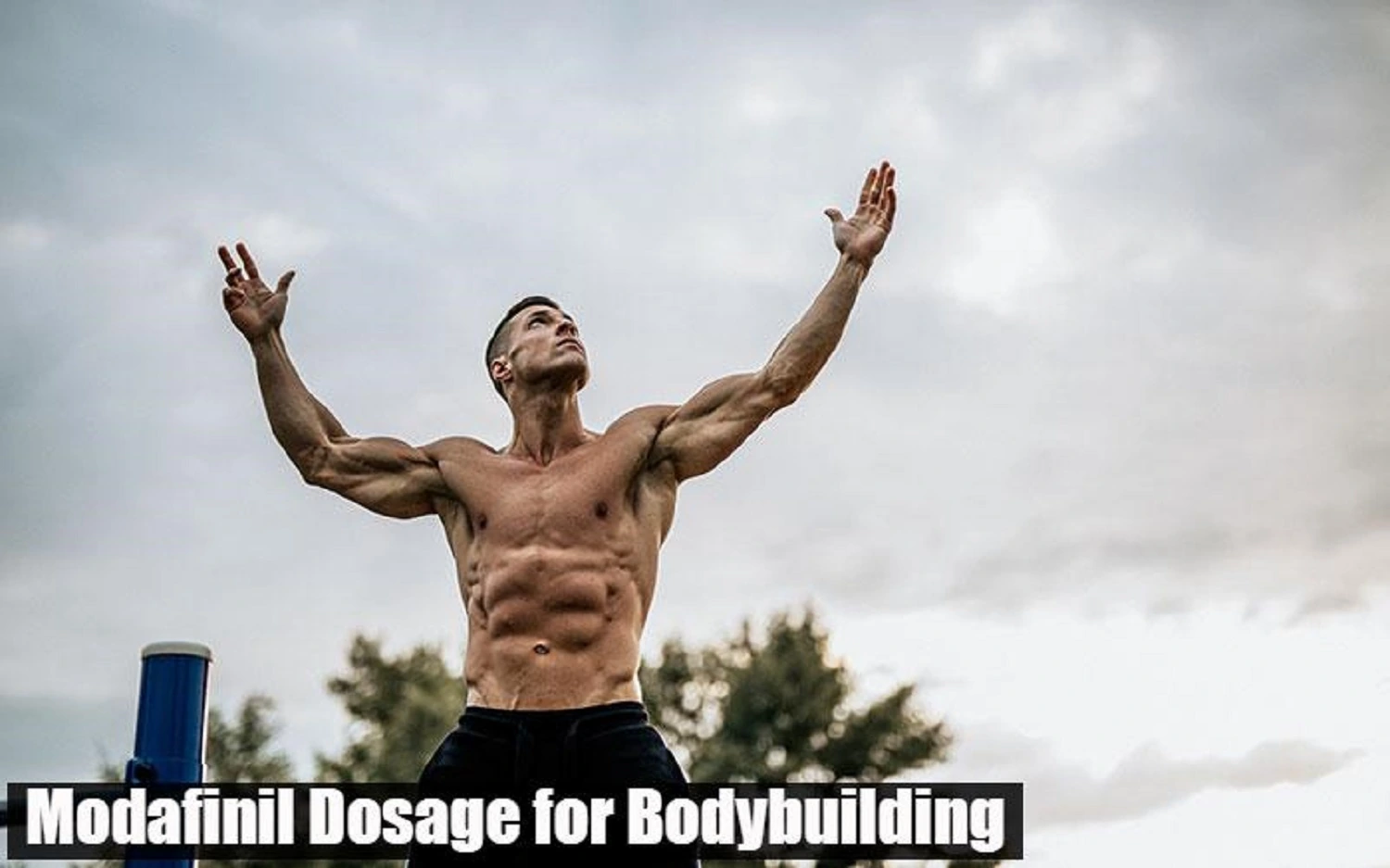 Modafinil dosage for bodybuilding