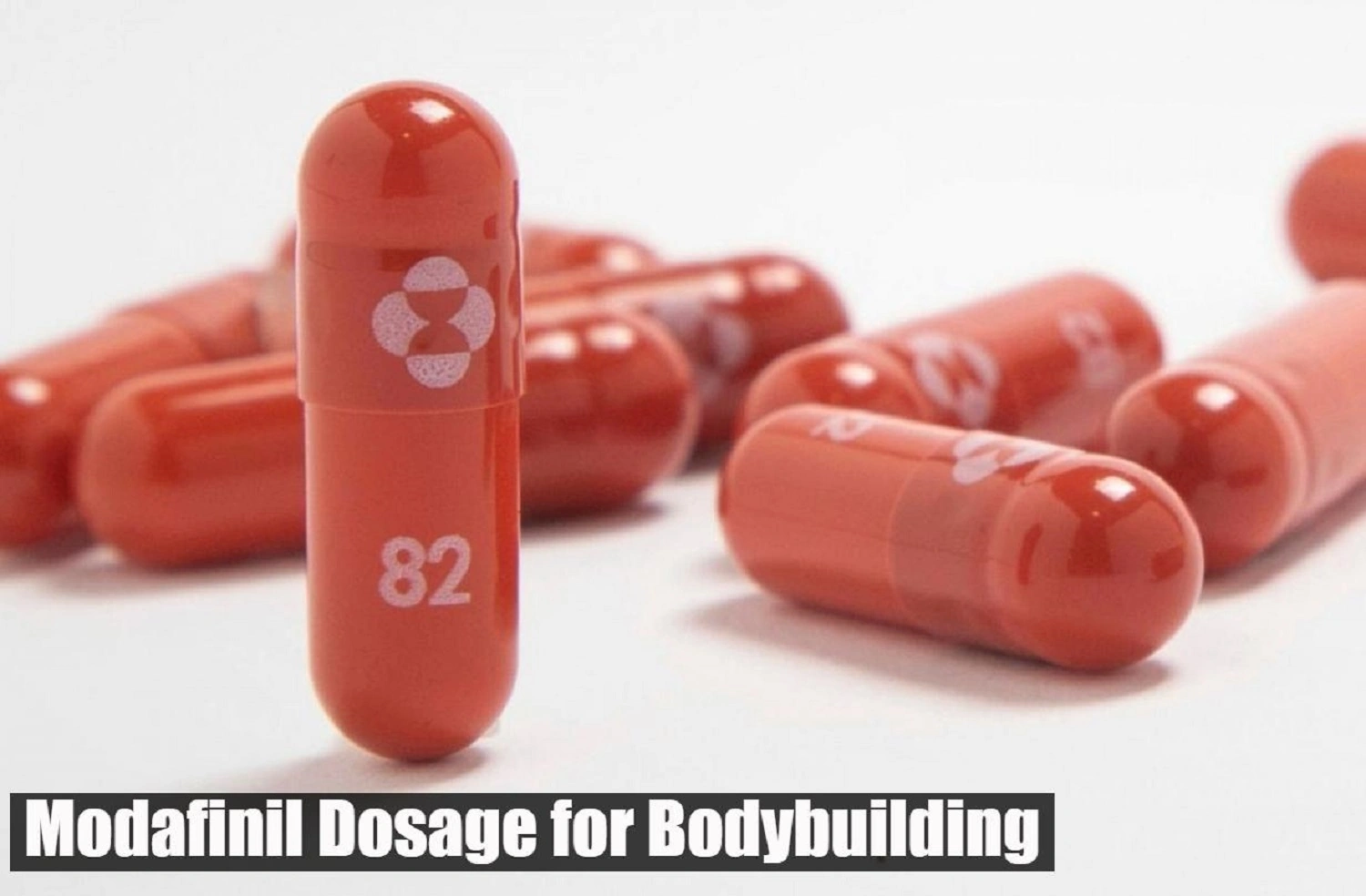 Modafinil Dosage for Bodybuilding